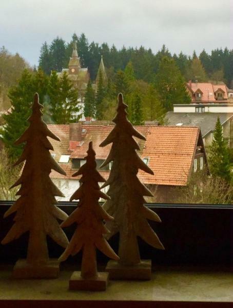 Seesicht Appartements Am Kranichsee Гослар Екстериор снимка